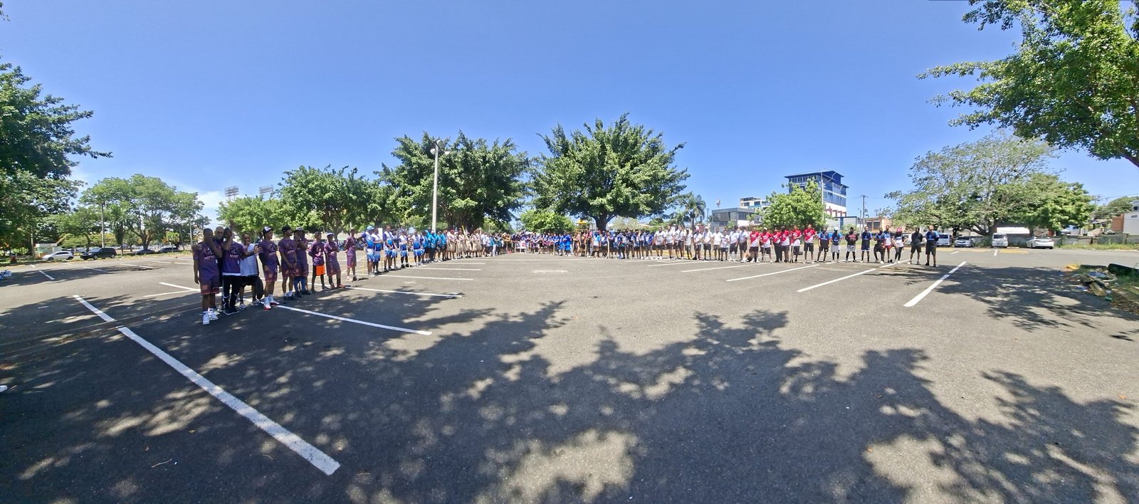 Liga Dominicana de Vitilla
