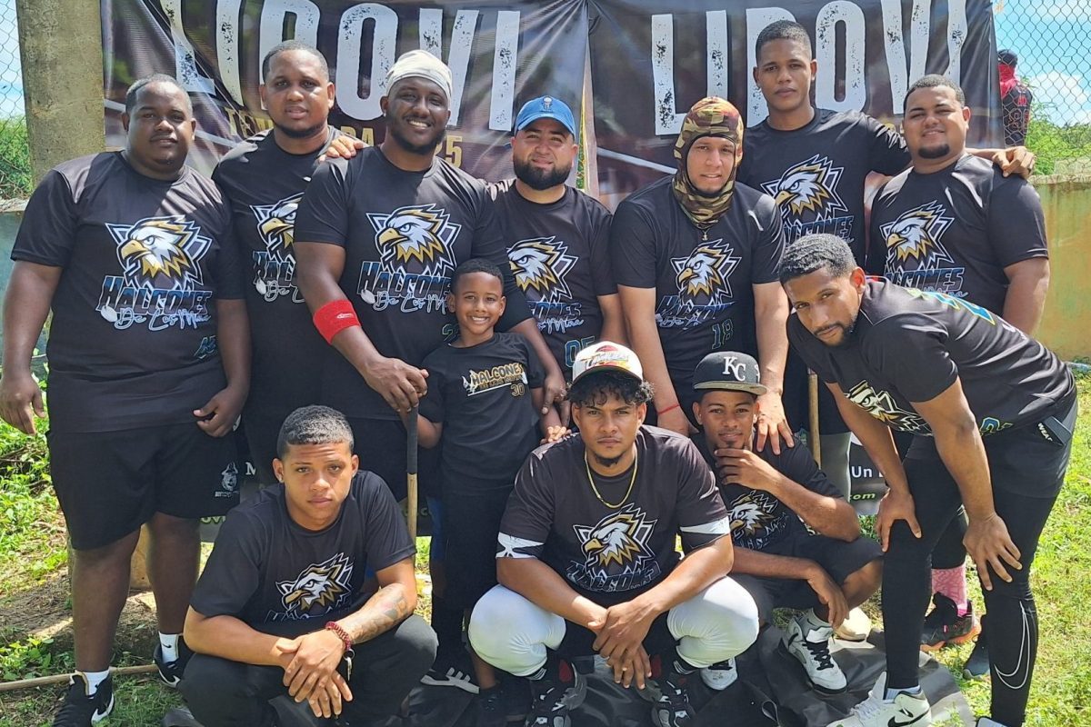 Pilones, Yipones, Angels y Halcones avanzan a las series de campeonato 